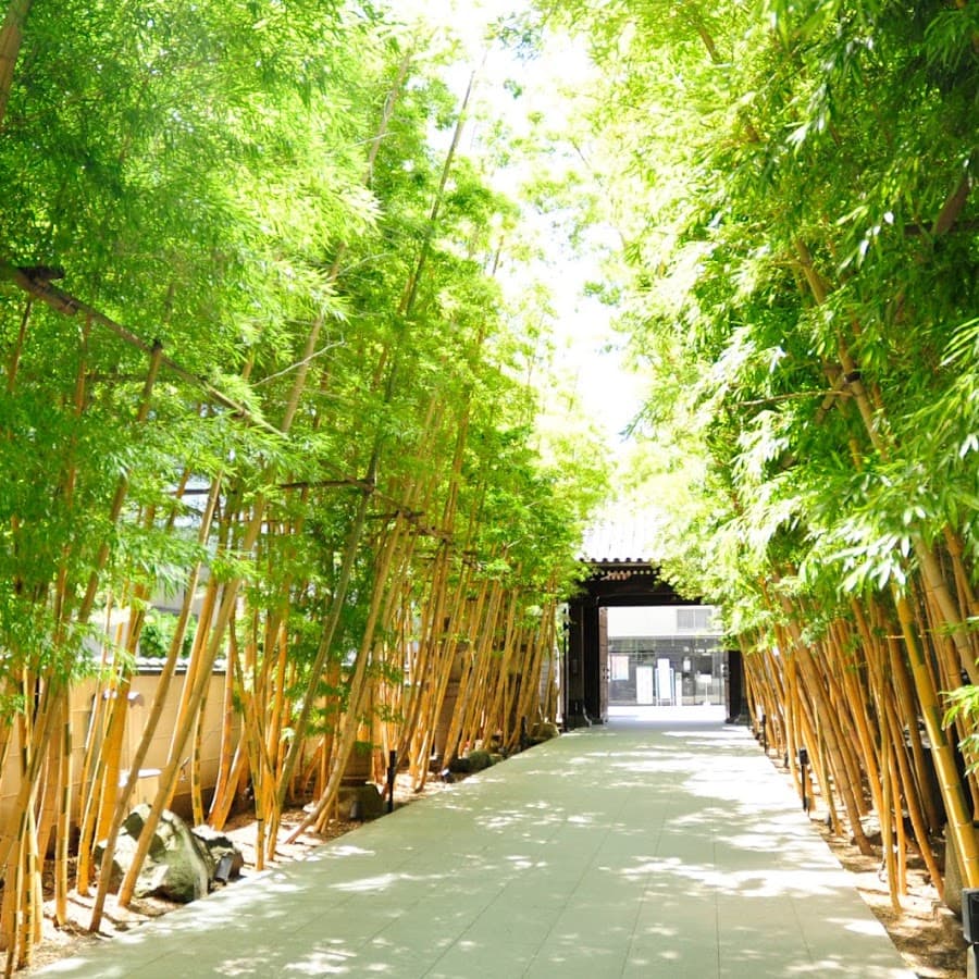 梅窓院